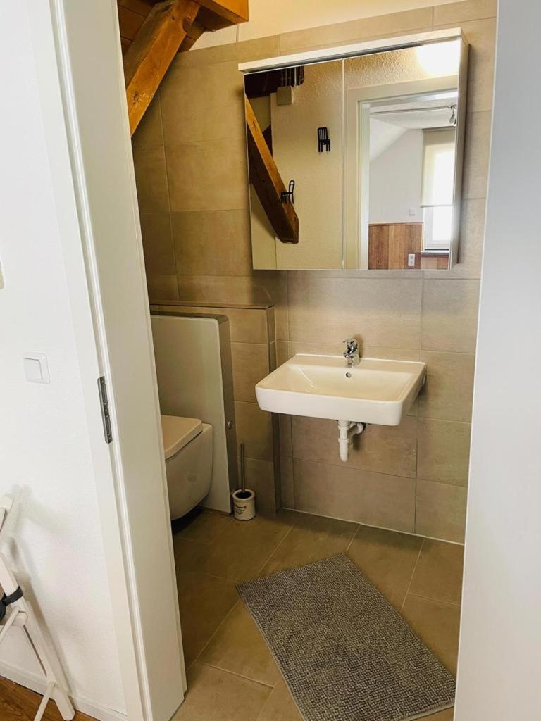 Dachstudio Eggingen 외부 사진